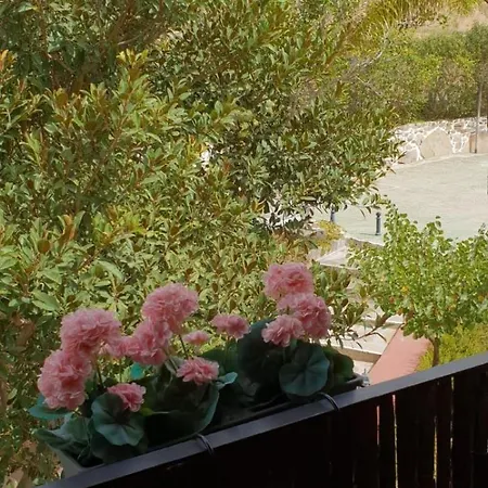 Cortijo De Salia ホテル