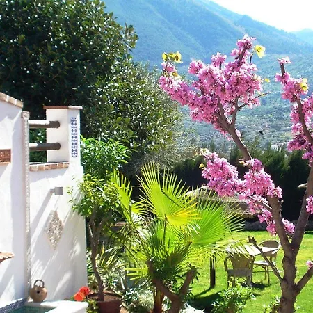 Cortijo De Salia